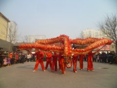 沧州非遗展演舞龙篇