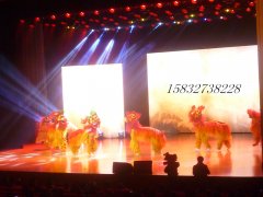 沧州晚会现场